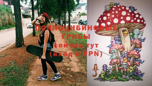 Альфа ПВП Нязепетровск