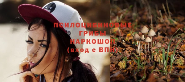 Альфа ПВП Нязепетровск