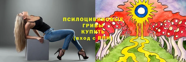 Альфа ПВП Нязепетровск