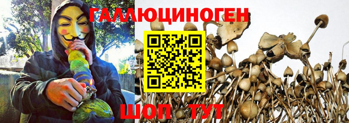 Галлюциногенные грибы Cubensis  Псилоцибиновые грибы GOLDEN TEACHER  Кирово-Чепецк  Вход с VPN 
