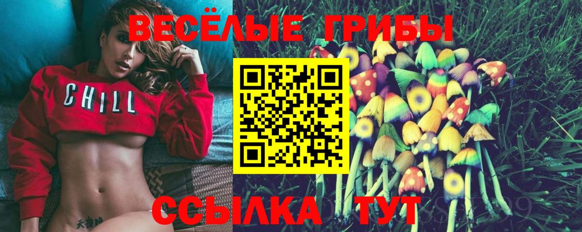 Галлюциногенные грибы мухоморы Кирово-Чепецк
